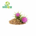 Milk Thistle Extract UV80% Silymarin HPLC40%