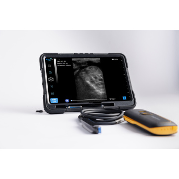 EagleScan L64 ultrasound machine for horses