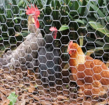 Chicken Mesh/pvc Coated Hexagonal Wire Mesh
