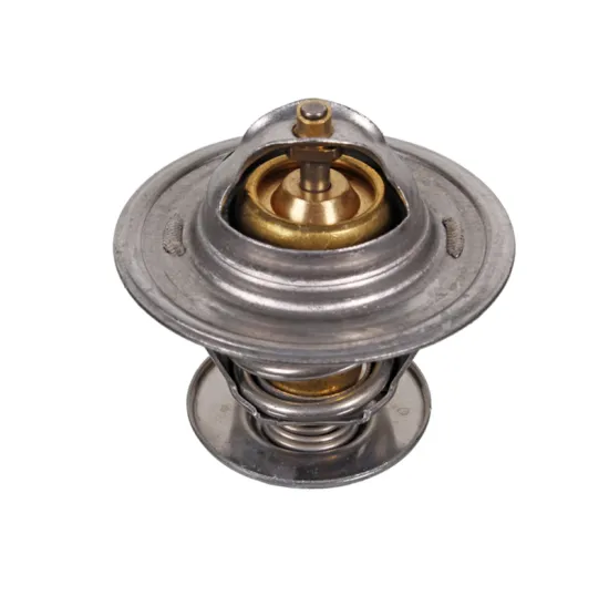 Ivanzoneko High Quality Factory Wholesale Thermostat Temperature Controller 056121113D for Volkswagen