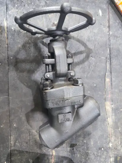 2inch 1500LB A105N Y-Type Globe Valve
