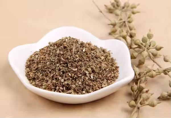 cnidium extract benefits
