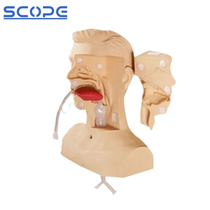 PVC Advanced Sputum Suction Nursing Manikin SC-H85