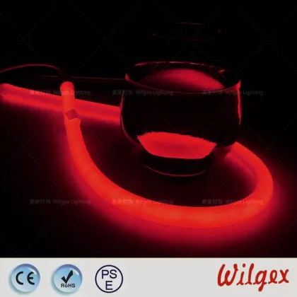 Circle LED flex tube