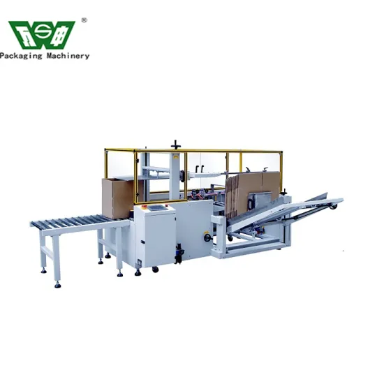 Fully Automatic Carton Erector and Packer for Bottom Folding Cartons