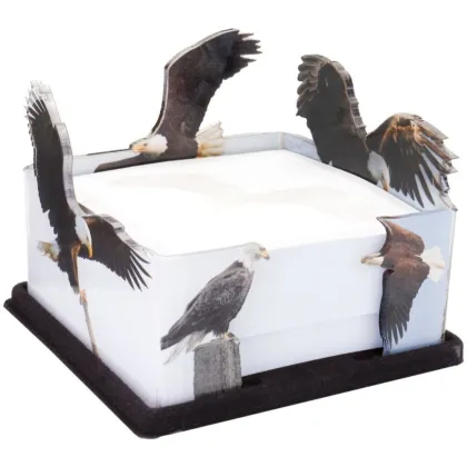 Fashion Acrylic pet bed pet Lounge Studios