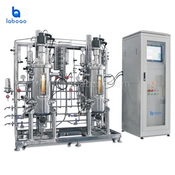 Laboao Microalgae Bioreactor Fermenter for Efficient Organic Acid Production