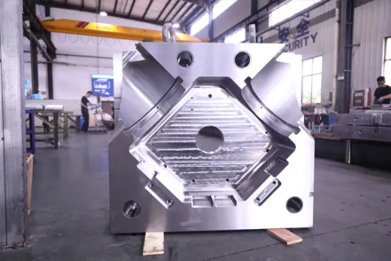 JiangSU Precision Plastic Injection SG Mold