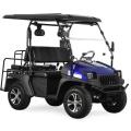 Carrito de golf EEC 5KW Electric Jeep