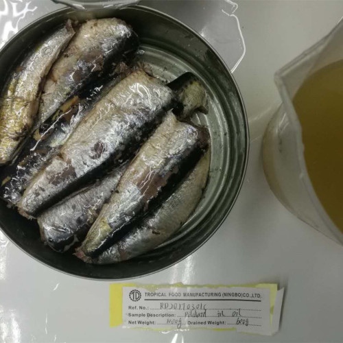 Conservas de Sardinas en Conserva en Aceite