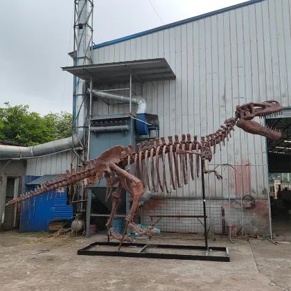 Complete Tyrannosaurus Rex Skeleton Specimens
