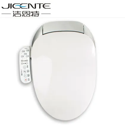 SmartBidet Fashion Control Panel