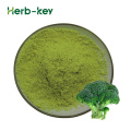 Vegetables Freeze Dried Broccoli Powder Freeze Dried Half Of Broccoli Powder Manufactory