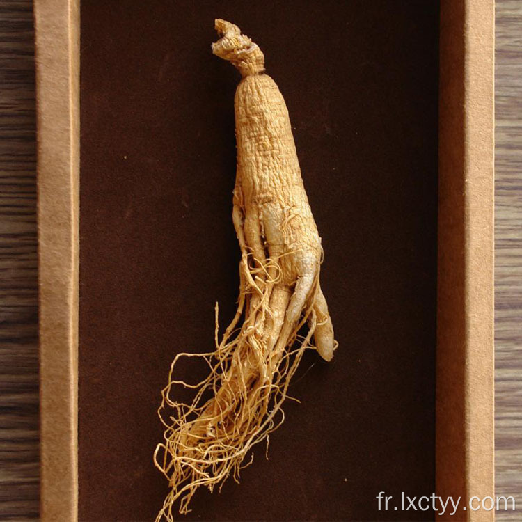 thé de santé extrait de ginseng