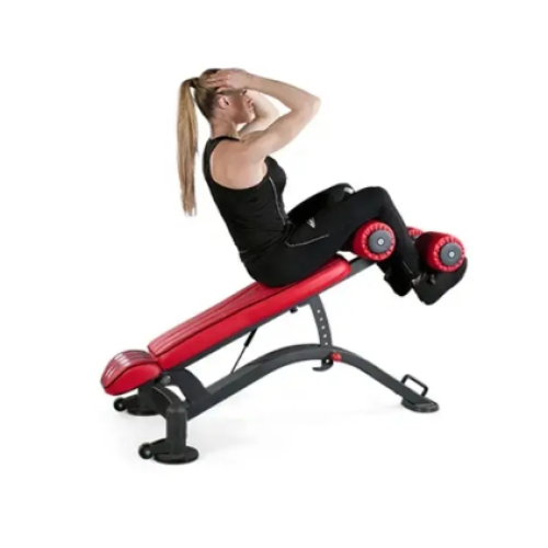 Professional Gym Equipment Multipurpose Sit Up Bench