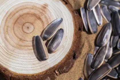 RONG DA SUNFLOWER SEED 361