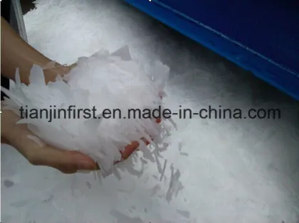 Flake Ice Machine/Ice Flake Machine/Flake Ice Machine