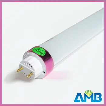 25w 3528 Smd Home / Hotel T10 Led Tube Light With 4f, 5f, 6f