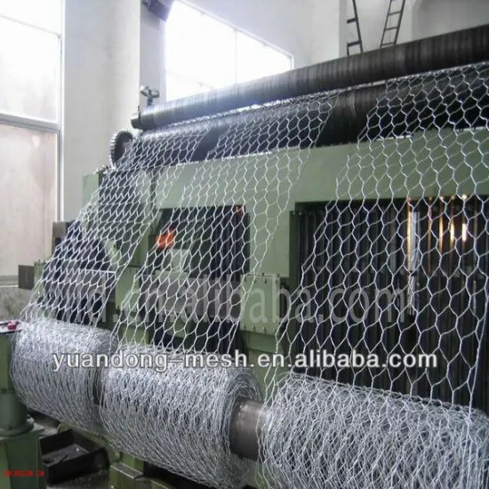 hexagonal wire Mesh Hot sale