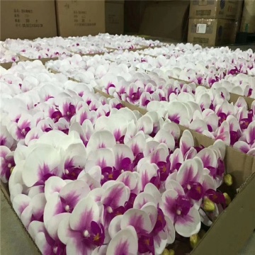 Customizable All Colors 7-15 Head Real Touch Latex Artificial Butterfly Orchid Phalaenopsis - YAYUN KZ1002