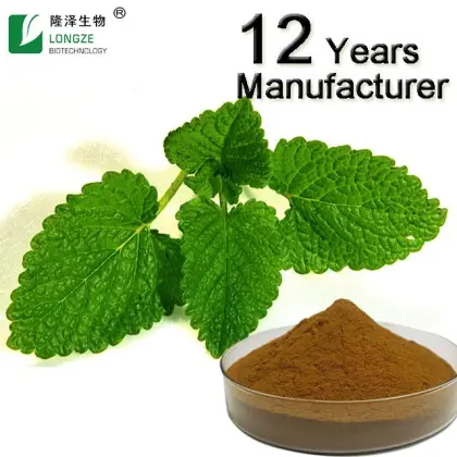 Melissa officinalis leaf extract