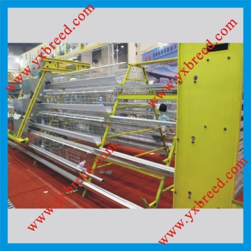High Capacity Chicken Cage a Type Layer Breeding Cage