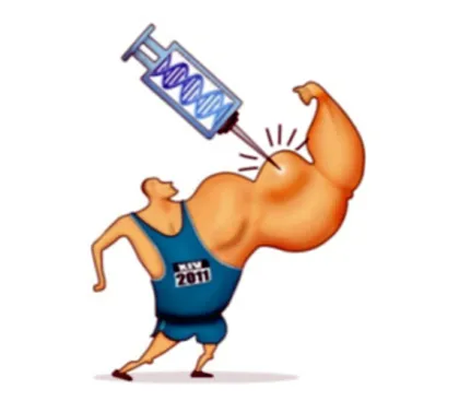 Hot Sell Sarms raw powder liquid Cardarine Gw501516