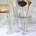 Tall Transparent Glass Bud Vases With Slanted Mouth