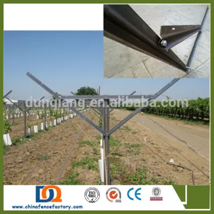fruit garden metal triangle sharp trellis system for vineyard