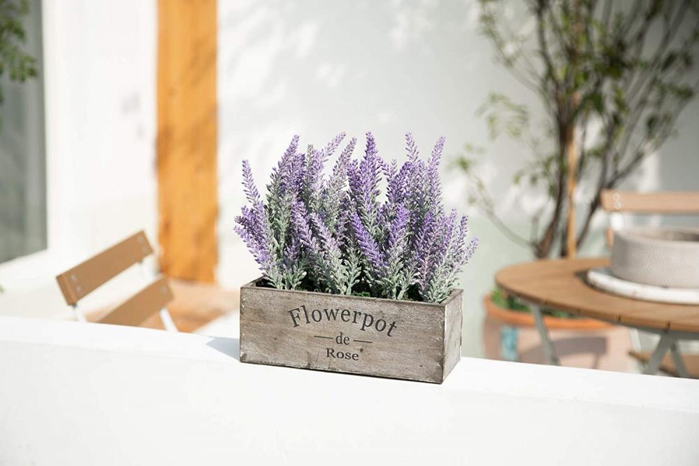 Planta em vasos de lavanda com bandeja de madeira