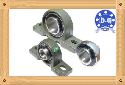 Skf/nsk Pillow Block Bearings Ukp207(good Quality)