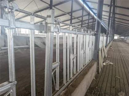 Hot Sell Cow Headlock Auto Release Cattle Stall Gate for Dairy and Beef Farms