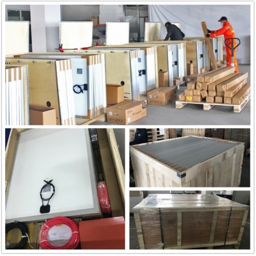 Title: 1000W Solar Energy System with Monocrystalline 300W Solar Panels