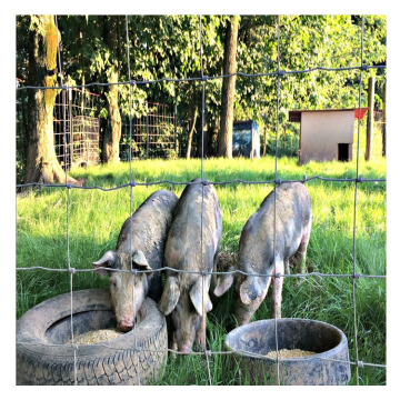 Wholesale Bulk Deer Fence for Outdoor Fields