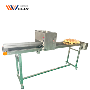 Smart Ink Jet Food Inkjet Printer for Eggs
