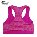 Wholesale Fitness Tops Young Women Seamless Bra top