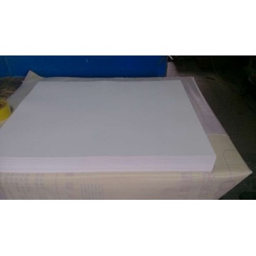 pp sheets for thermal forming