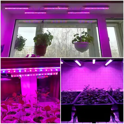 BBIER Original HPS Fluence LED Grow Light - Kingbright LED Grow Light