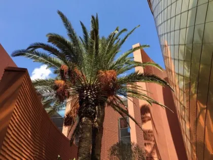 decorative GRC wall panels, decorative exterior wall panels, fiberglass wall cladding decorative panels