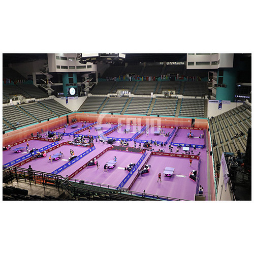 Top Quality ITTF Approved Table Tennis Floor