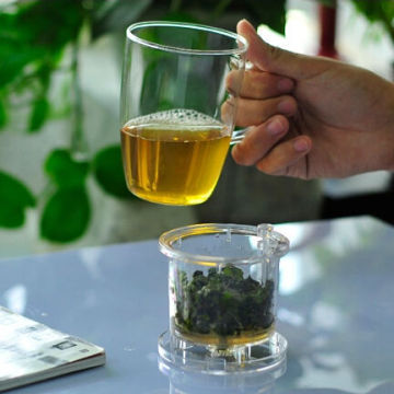 "SAMADOYO" Clear Glass Cup With Infuser For Making Loose Leaf tea