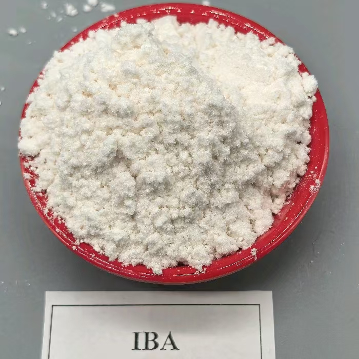 auxin IBA plant growth regulator plant rooting