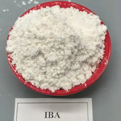 IBA rooting hormone - Indolebutyric acid