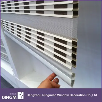 Fashionable double layer shade zebra blinds