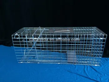 live squirrel capture traps amazon