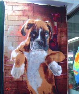 printed beach towel