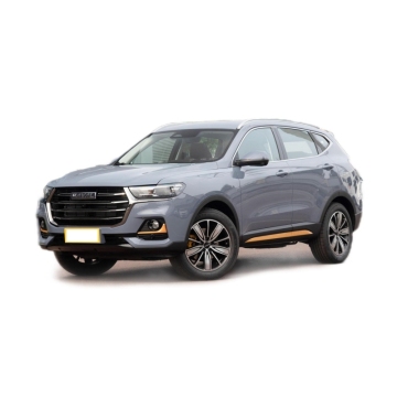 Hot Sale: High-Quality 5 Door 5 Seats New Energy Electric Vehicle for Sale