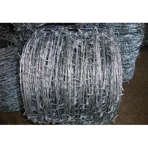 Precio único de alambre de púas galvanizado para la venta