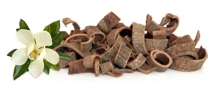 Magnolia Bark Extract powder