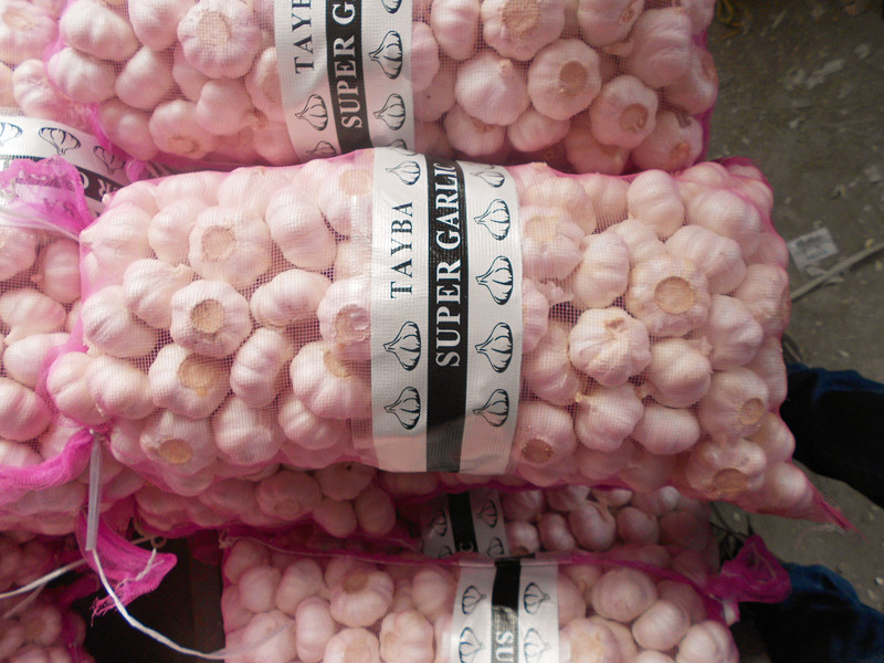 garlic in 10kg loose mesh bag